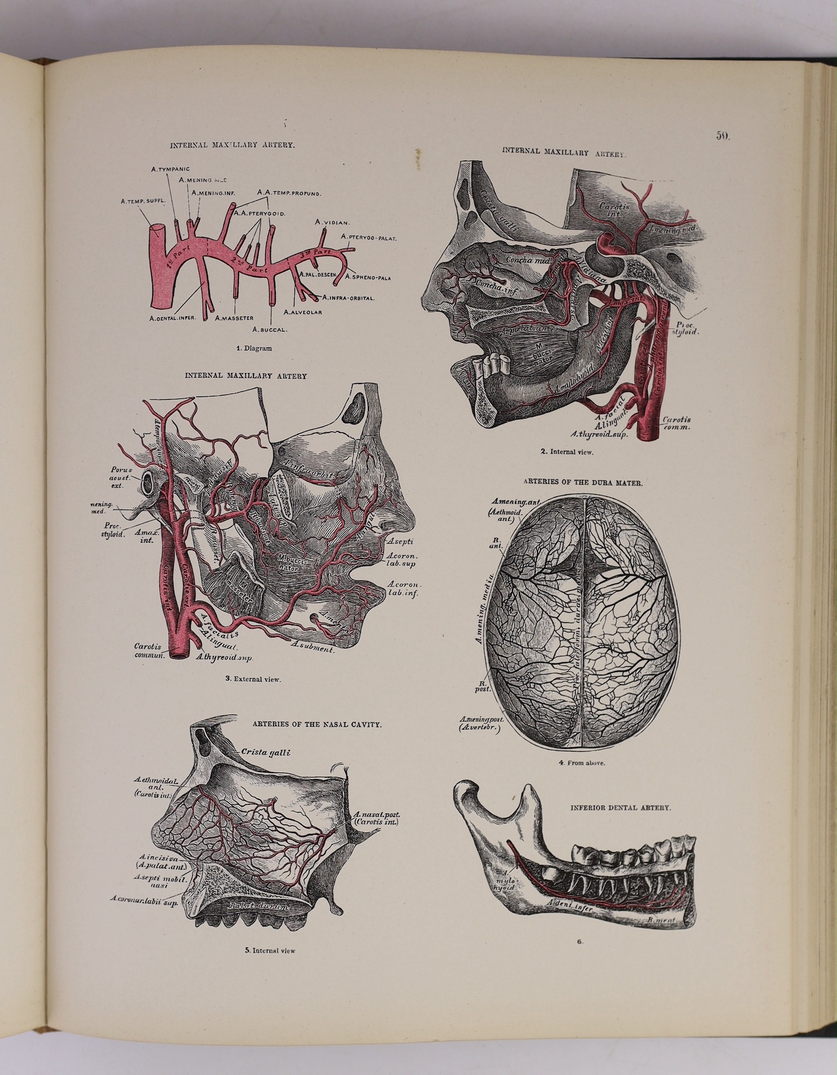 Smith, Noble - The Descriptive Atlas of Anatomy, 4to, cloth, with 92 plates, Smith, Elder & Co., London, 1880